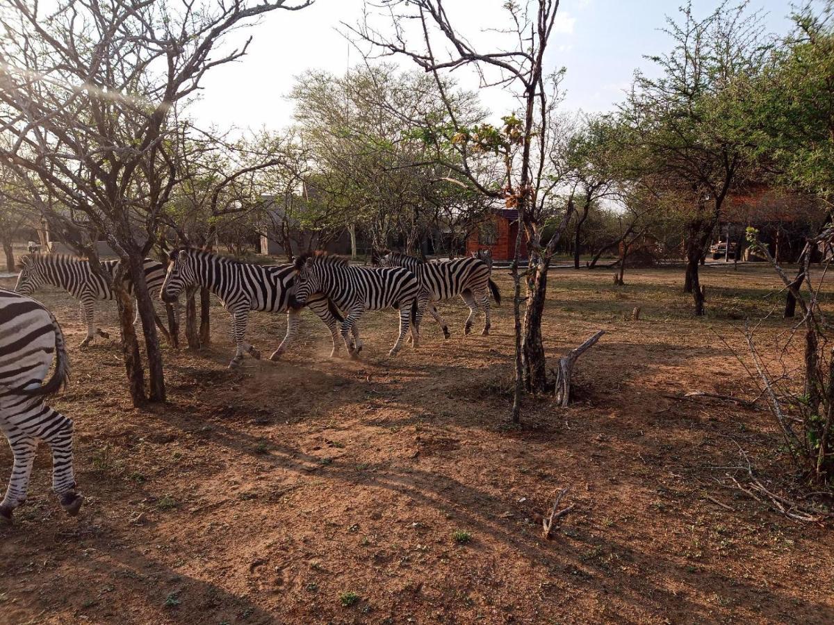 Апартаменты Marloth Kruger View Марлот-Парк Экстерьер фото