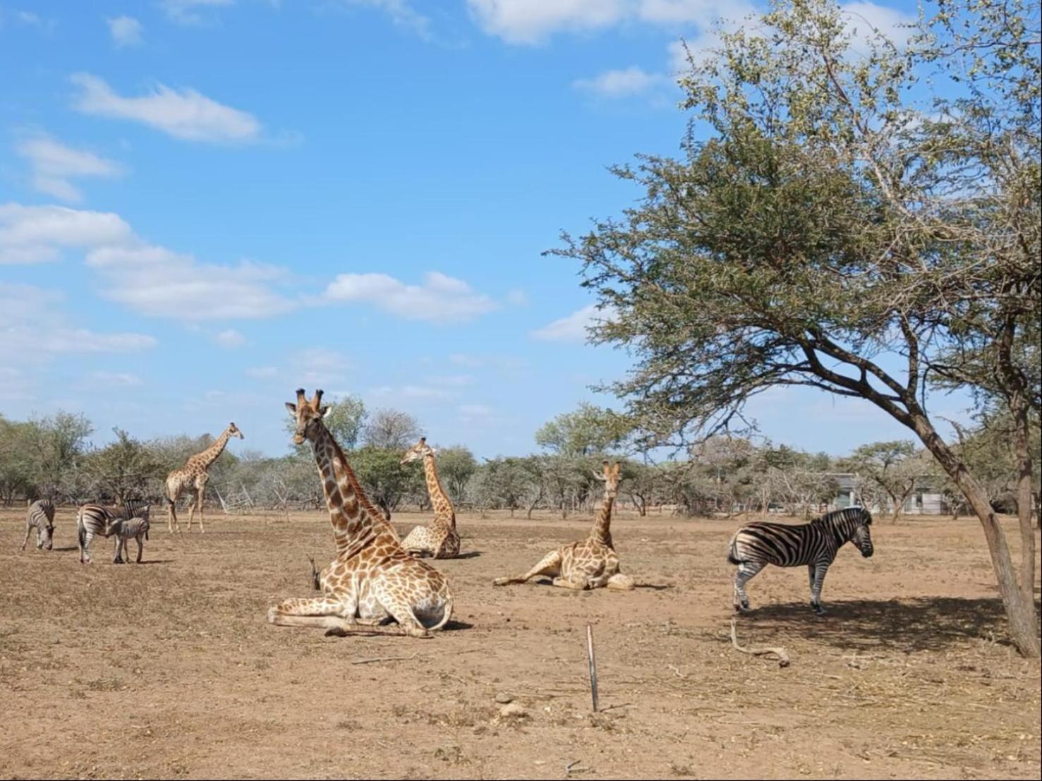 Апартаменты Marloth Kruger View Марлот-Парк Экстерьер фото