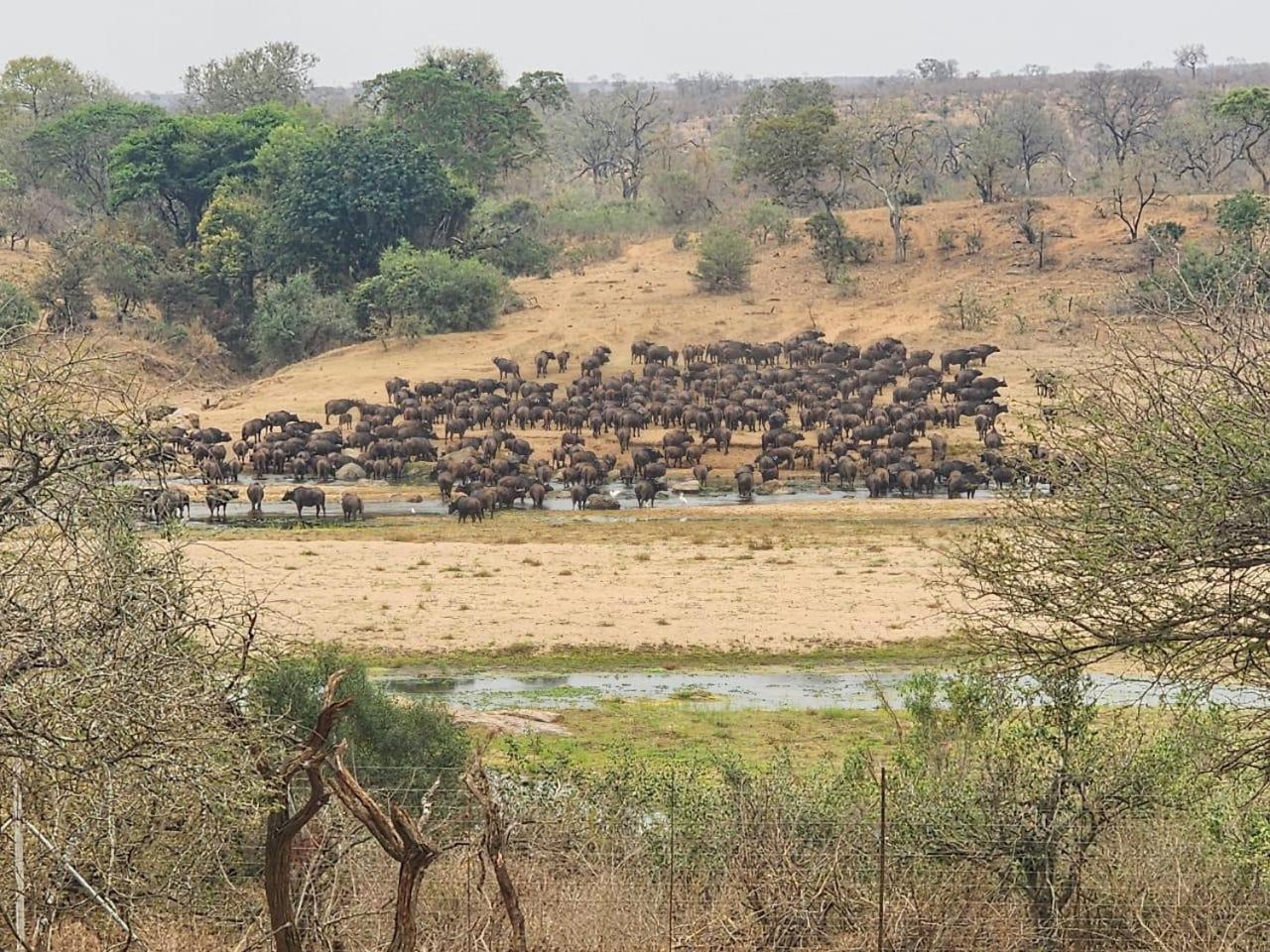 Апартаменты Marloth Kruger View Марлот-Парк Экстерьер фото